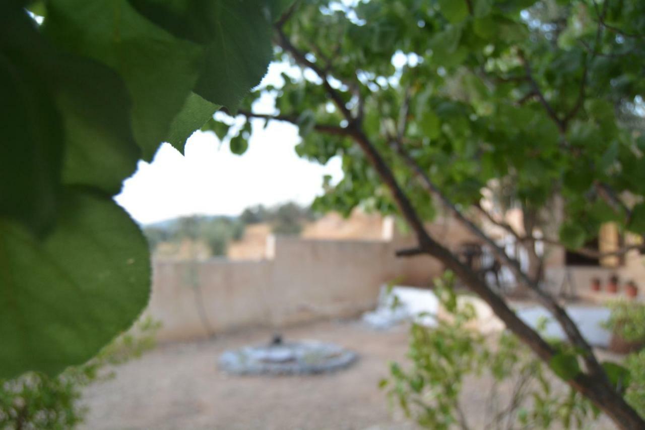 Our Villa'S Private Apartments - Hq Budget Stay - Wonderful Horizon View Of Jerash Gerasa Exterior foto